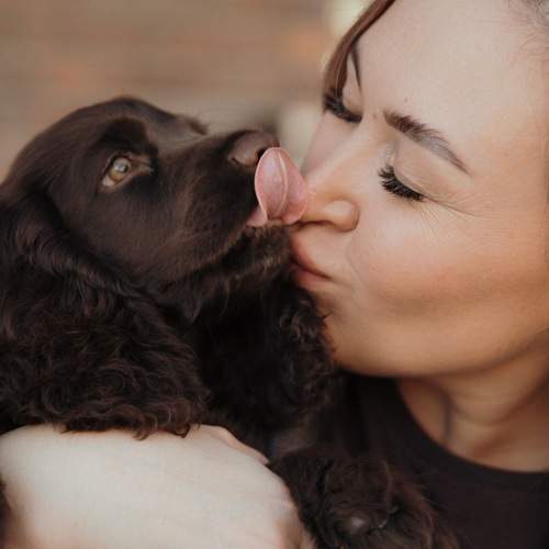 Photo #13222542