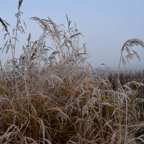 Photo #13222580