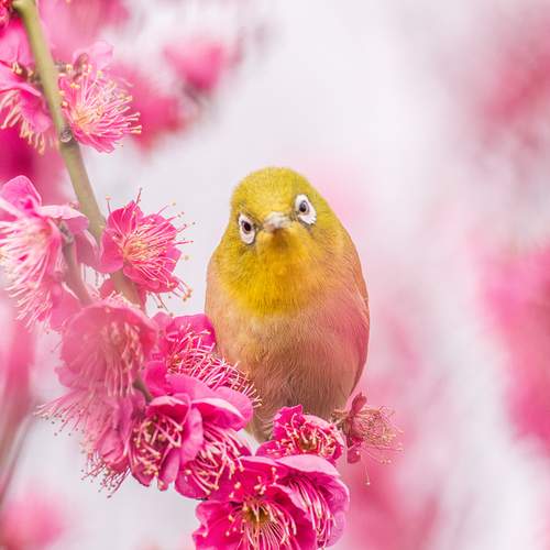 Photo #13222630