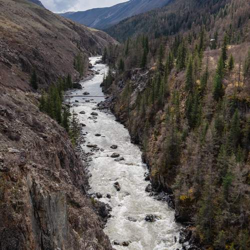 Photo #13222700