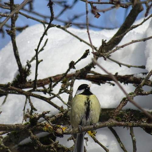 Photo #13222714