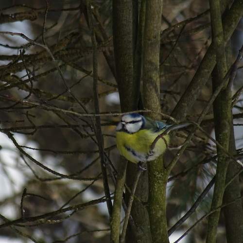 Photo #13222715