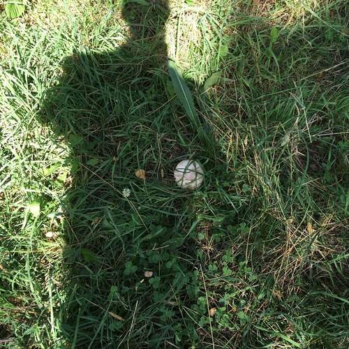 Photo #13222789
