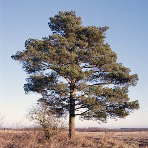 Photo #13222826
