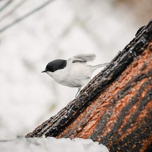 Photo #13222828