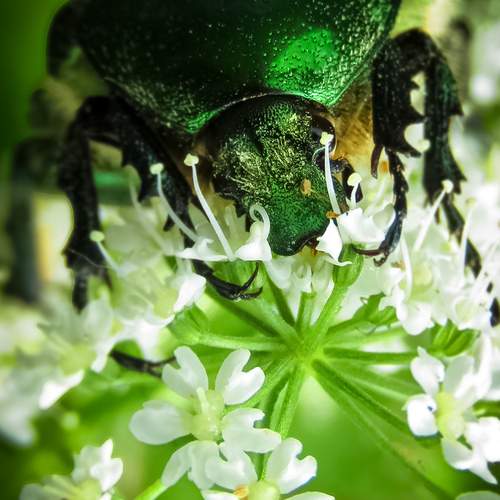 Photo #13222846