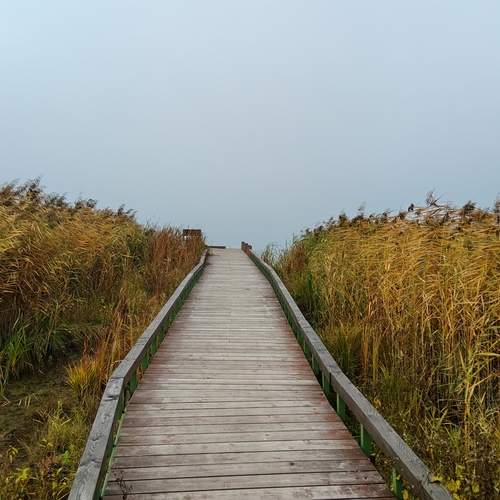 Photo #13222877