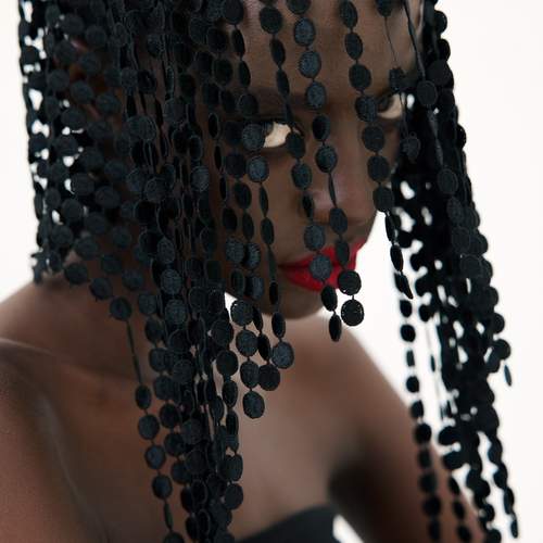 Photo #13222884