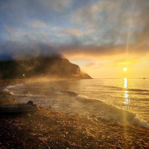 Photo #13222946