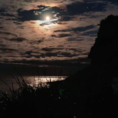 Photo #13222947