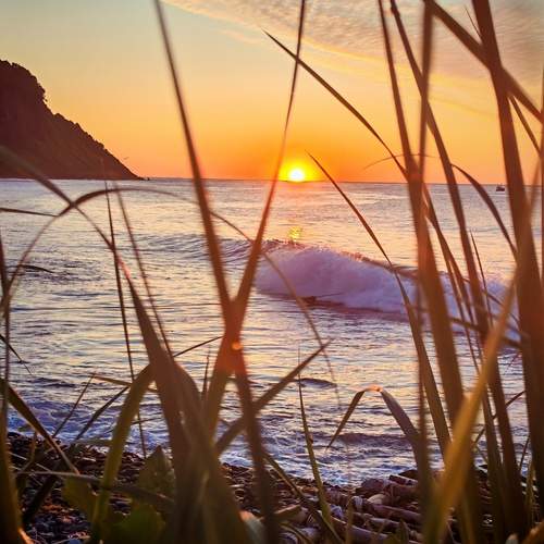 Photo #13222950