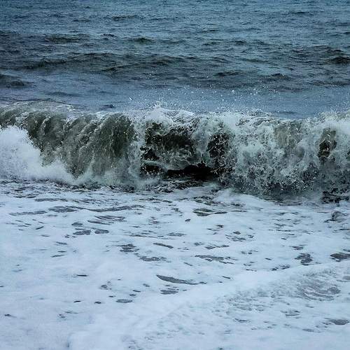 Photo #13223083