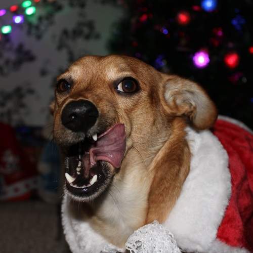 Photo #13223095