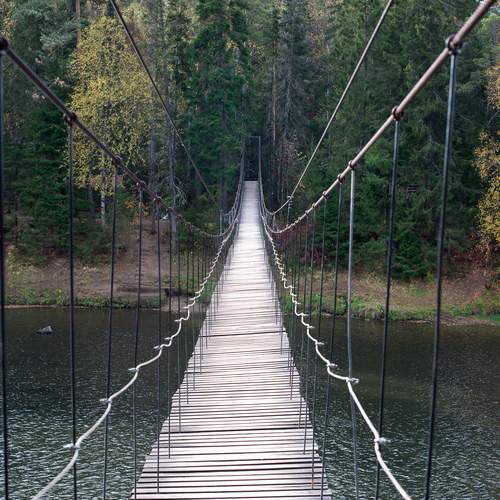 Photo #13223162
