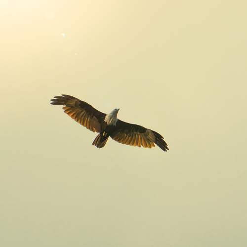 Photo #13223463