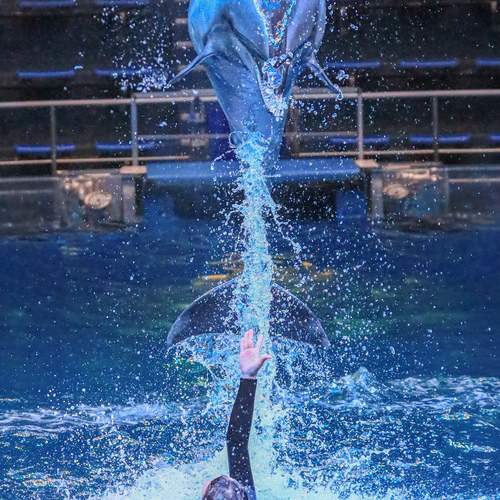 Photo #13223476
