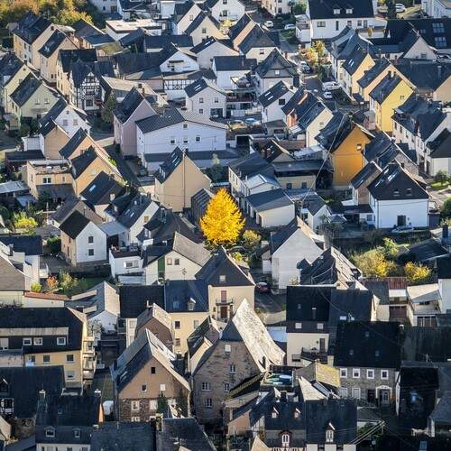 Photo #13223501