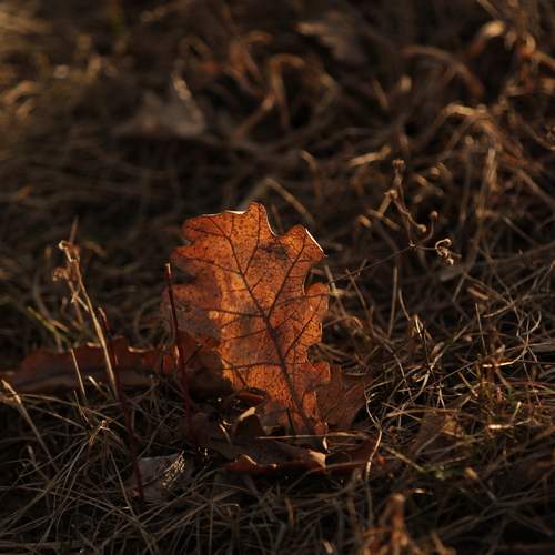 Photo #13223575