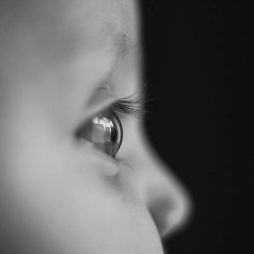 Photo #13223813