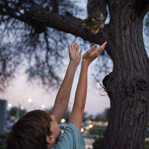 Be kind