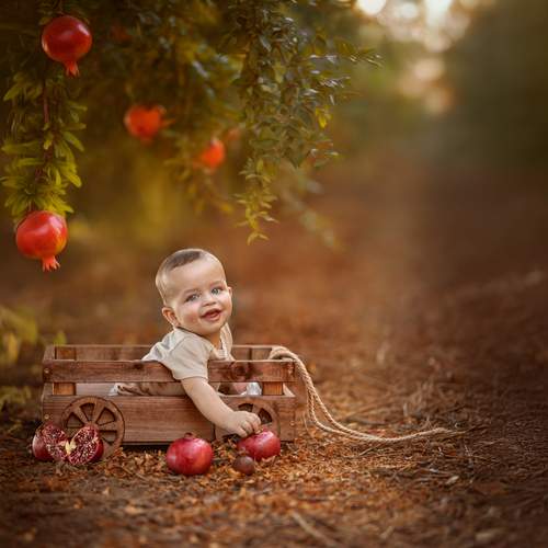 Photo #13223895