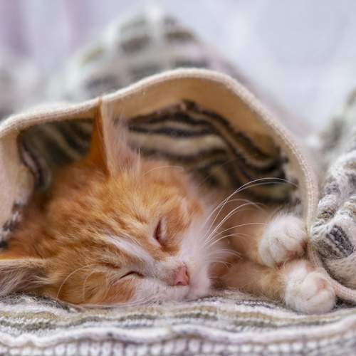Photo #13223947