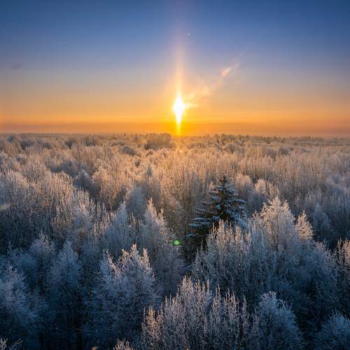 Фотография #13223955