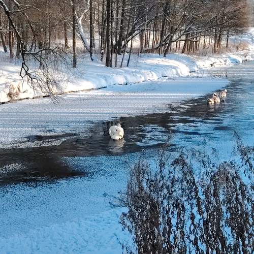 Photo #13224087