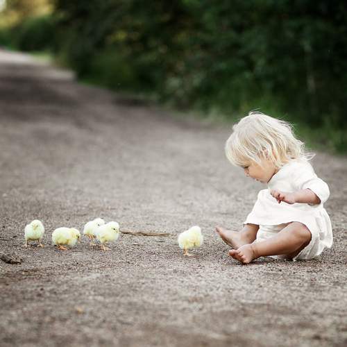 Photo #13224130