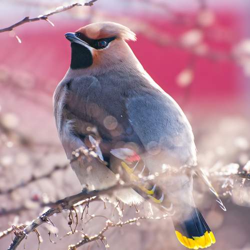 Photo #13224139