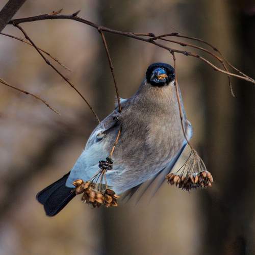Photo #13224141