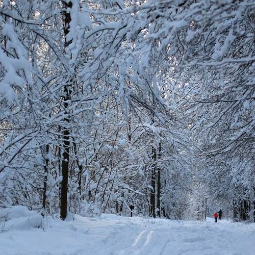 Photo #13224179