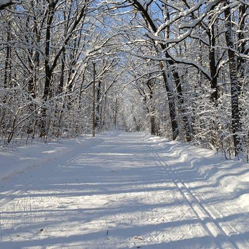 Photo #13224325