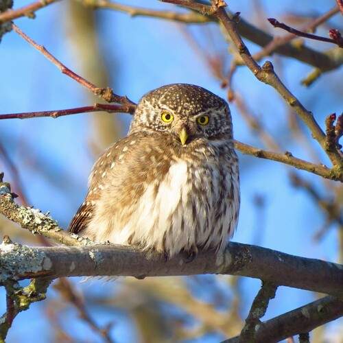 Photo #13224482