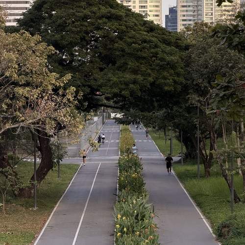 Photo #13224548