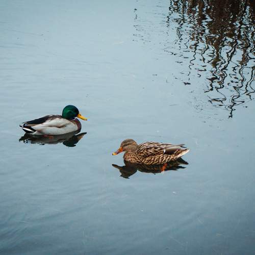 Photo #13224648