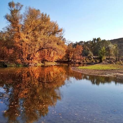 Photo #13224670