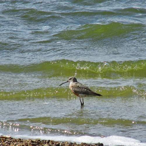 Photo #13224692
