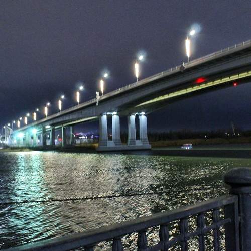 Photo #13224702
