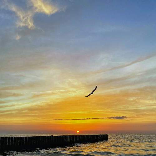 Photo #13224762