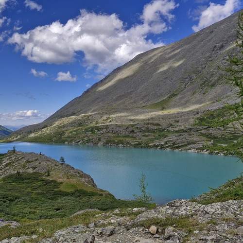 Photo #13224764