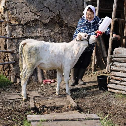 Photo #13224776