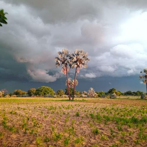Photo #13224908
