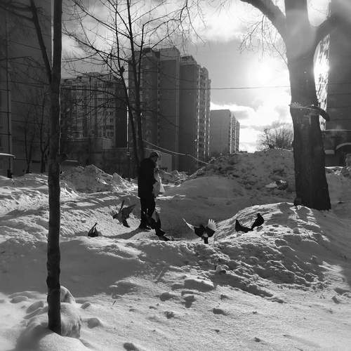 Photo #13224975