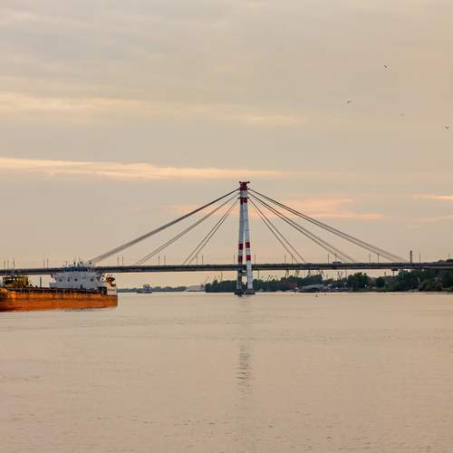 Photo #13225308