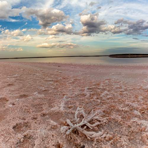 Photo #13225448