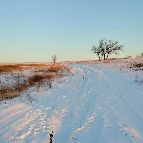 Photo #13225653