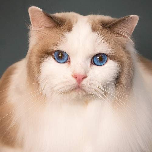 Photo #13225657