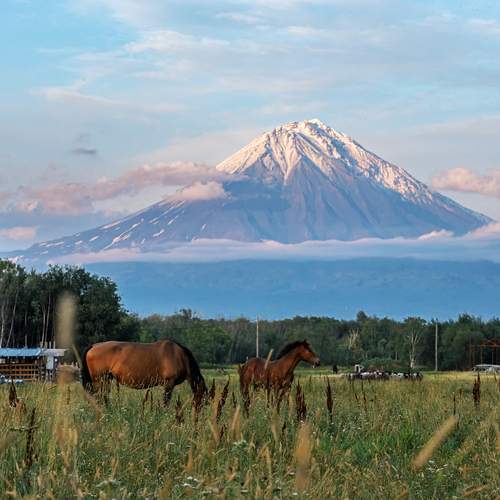 Камчатка