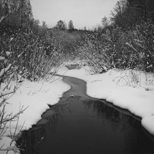 Photo #13225804